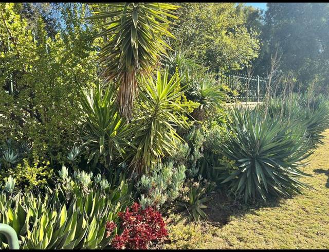 5 BEDROOM HOUSE FOR SALE IN ERASMIA